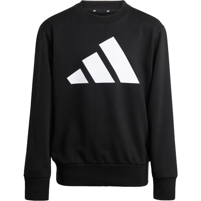Adidas Essentials Joggers Set Zwart 15-16 Years Kinderen