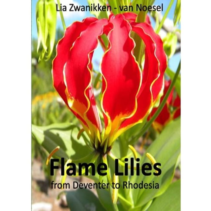 Flame Lilies - Lia Zwanikken - van Noesel