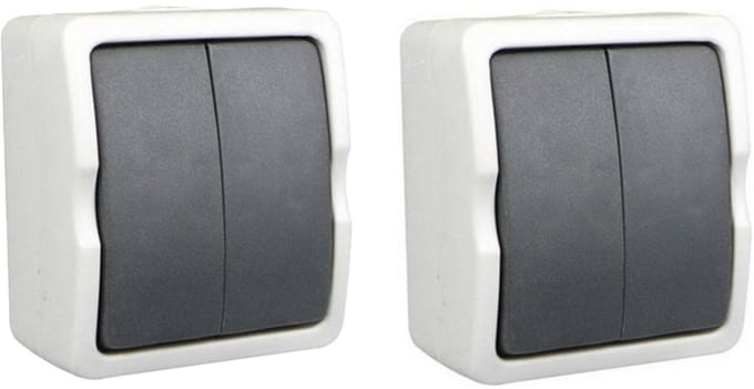 Benson Schakelaar - 2x - dubbel - opbouw - IP54 - 250V - 10A - spatwaterdicht - buiten