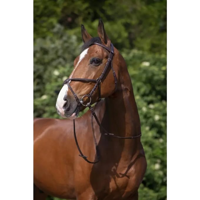 Hoofdstellen Riding World Muserolle