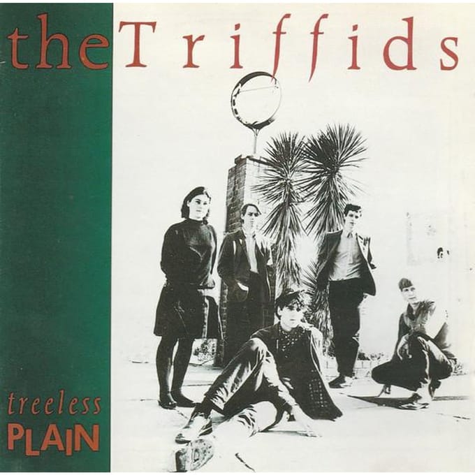 CD TRIFFIDS - Treeless Plain D19936 Mushroom Australia Rock Gebruikt gray