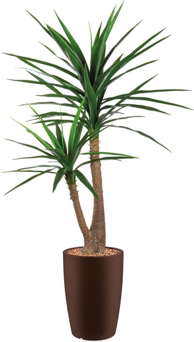 HTT - Kunstplant Yucca in Genesis rond bruin H150 cm