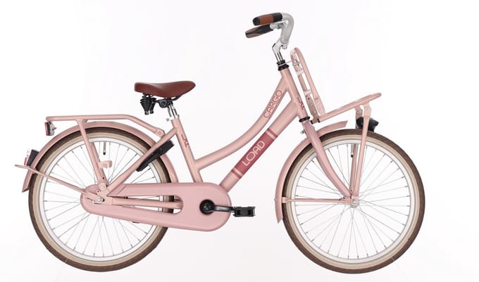 Kinderfiets Meisje 20 inch BFN Cargo Load – Roze – Terugtraprem – 1 Versnelling – Meisjesfiets