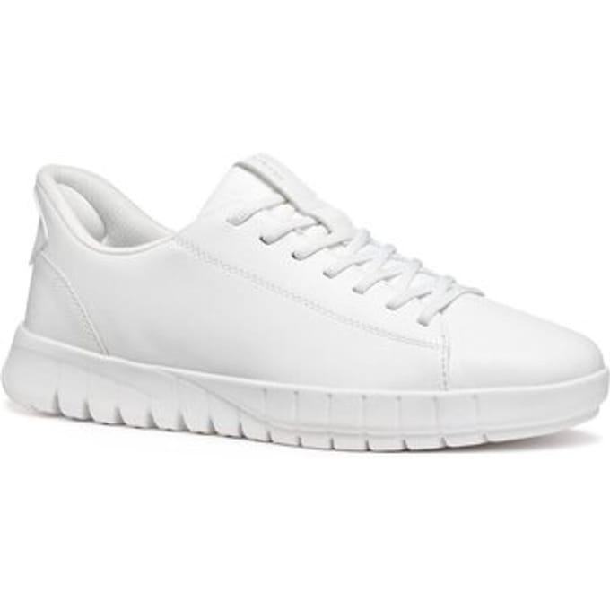 Lage Sneakers Geox -