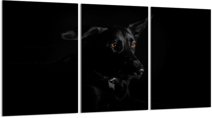 TMK ArtDeko - Snijplank - Glas - 3x30x52 cm - Beschermende Panelen