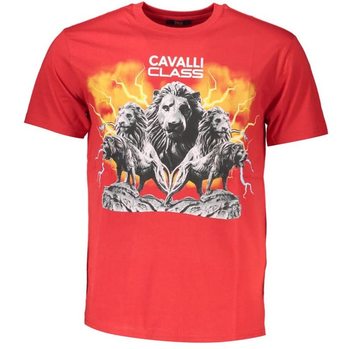 Leeuw Graphic T-shirt