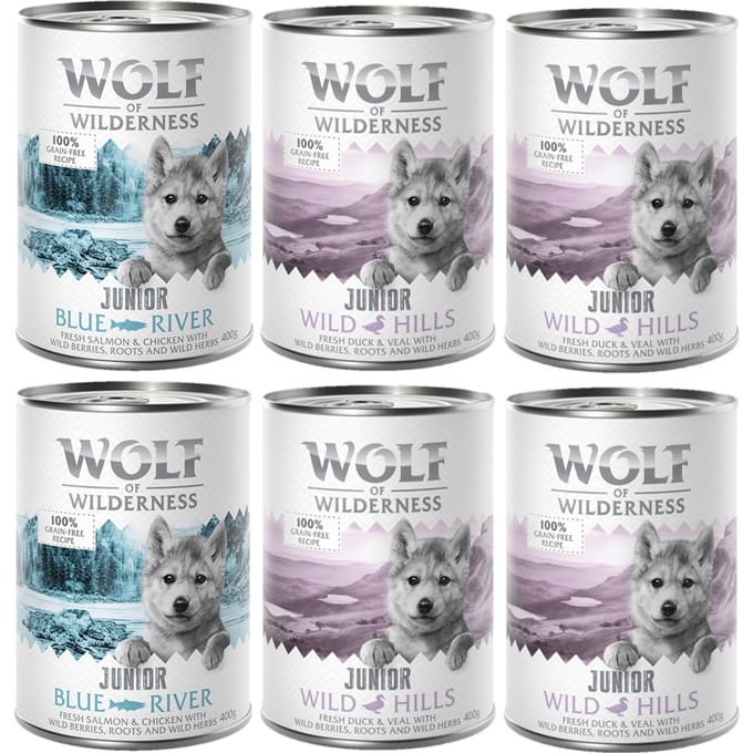 Junior Mixpakket Wolf of Wilderness Graanvrij Honden Natvoer