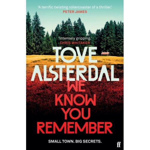 We Know You Remember - High Coast Series - Tove Alsterdal