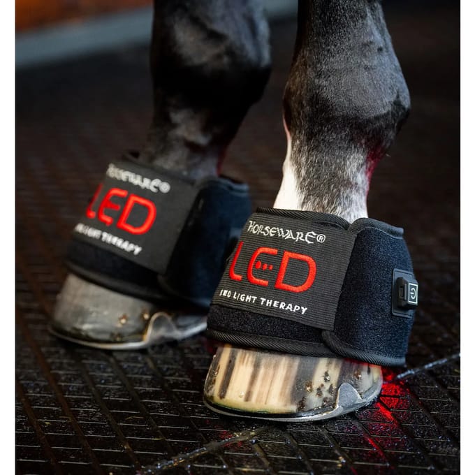 Lichttherapie klokken voor paard mini paar Horseware (x2)
