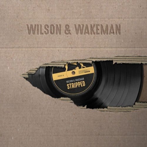 Stripped - Damian Wilson