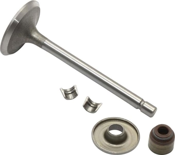 Briggs & stratton inlaatklep