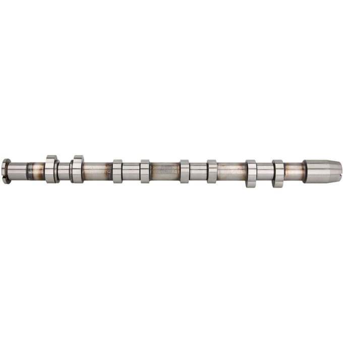 Nokkenas  AE CAM989
