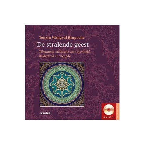 De Stralende Geest - Tenzin Wangyal Rinpoche