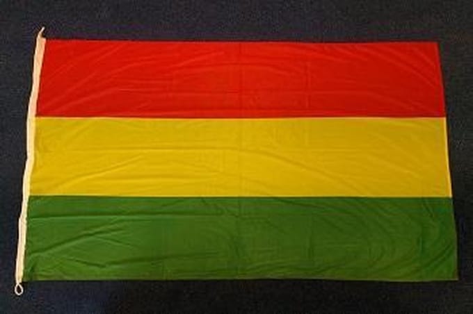 Carnavals vlag Carnaval 100 x 150cm
