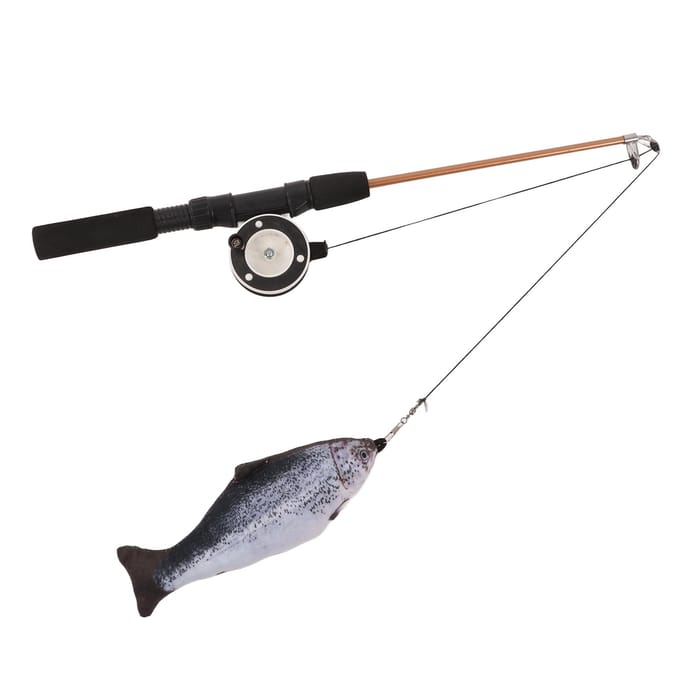 Intrekbaar Katten Pluimstok Speelgoed Interactieve Hengel met Simulatie Vis voor Katten(Zalm black