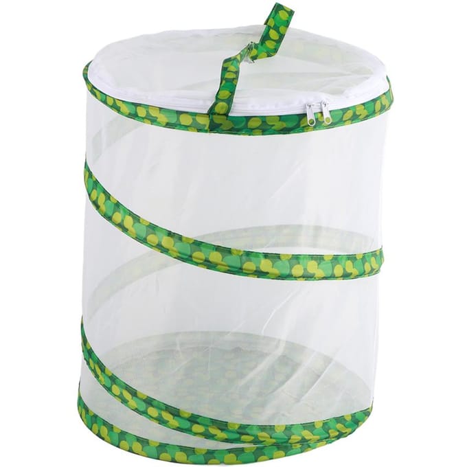 Net Insect Vlinder Habitat Kooi Inklapbare Insecten Huisvesting Behuizing Kweekkooien white