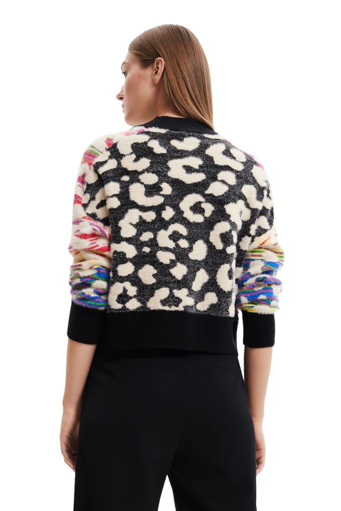 Desigual Dames Multikleuren Breigoed