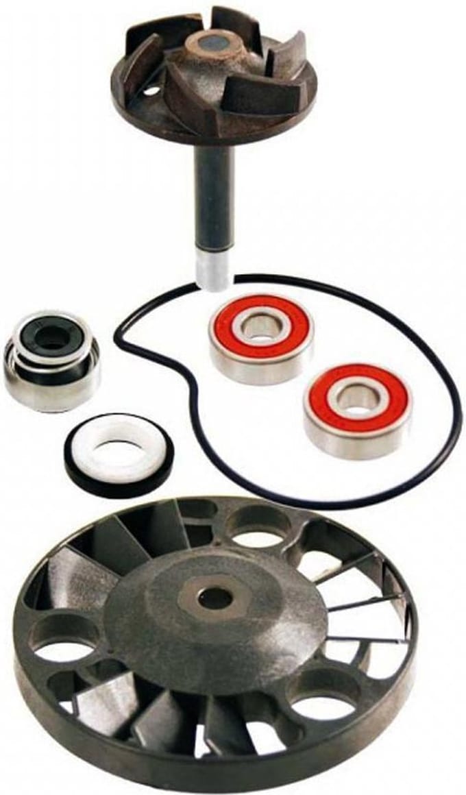 waterpomp rms voor scooter piaggio 125 x9 evolution 2003 nieuw