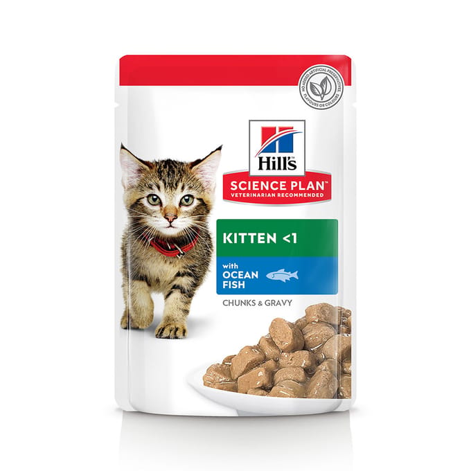 Hill's Science Plan Kitten - 24 x 85 g Zeevis
