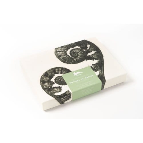 Wonders Of Nature - Correspondence Set - Pepin van Roojen