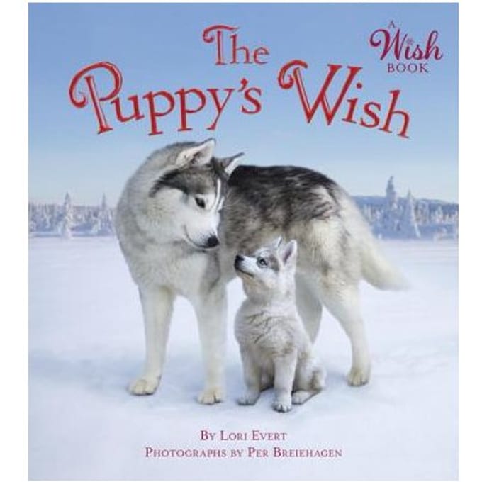 The Puppy's Wish (A Wish Book) - Lori Evert