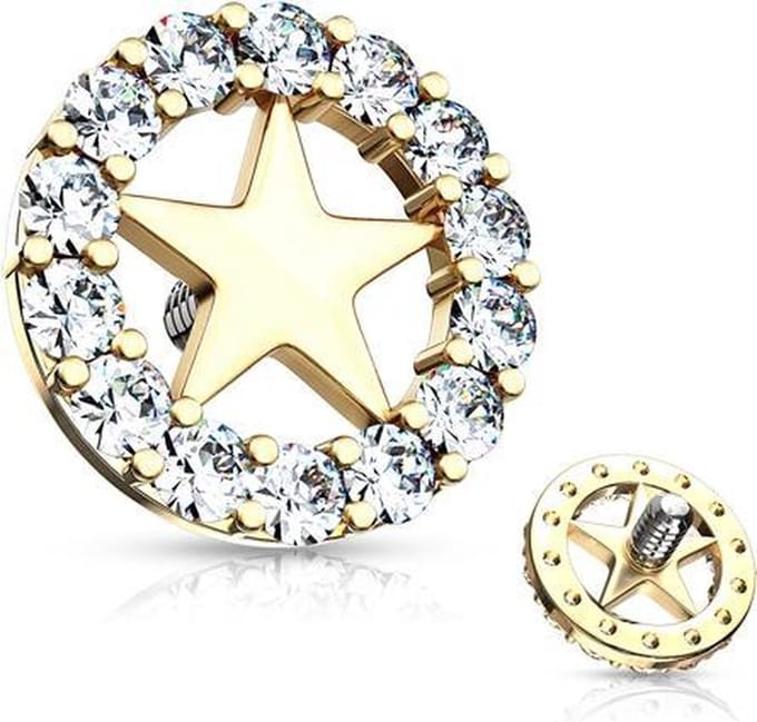 Dermal top cirkel met ster gold plated 1.6mm - LMPiercings