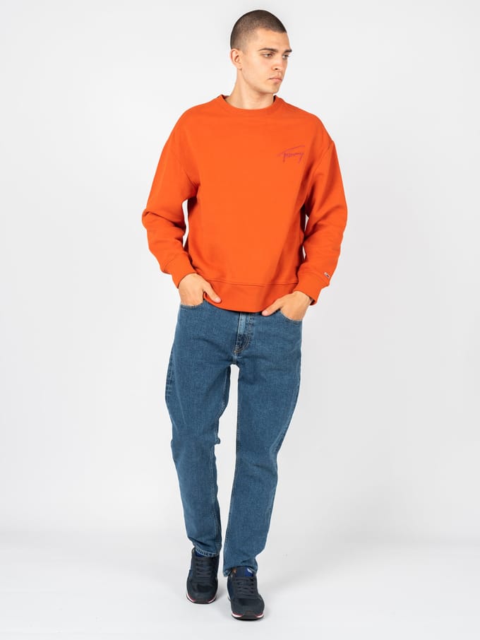 Tommy Jeans Jeans Dad Jean Mannen blauw
