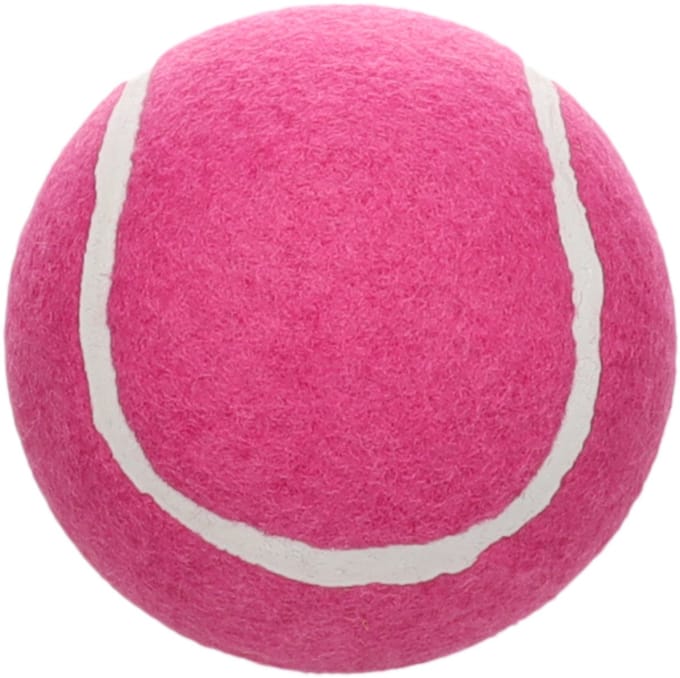 Flamingo - Hondenspeelgoed - Speelgoed Smash Tennisbal Roze - 1st