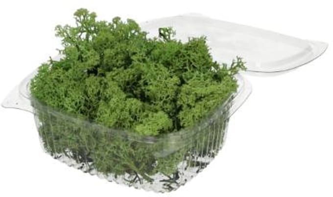 Rendiermos 50gr groen