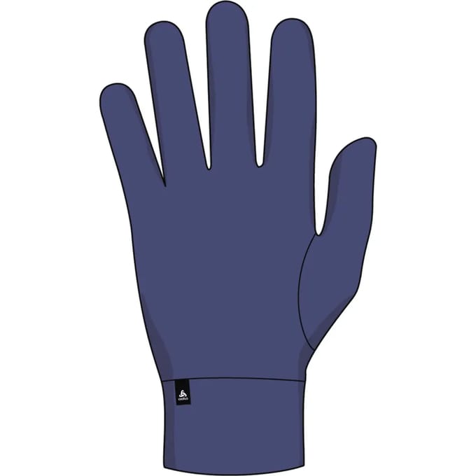 Odlo Active Warm Eco Handschoenen Blauw,Paars XL