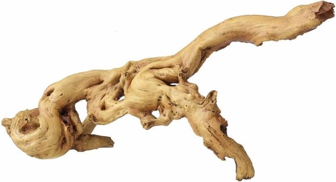 Aqua d'ella Coffee Root 5 35x16x12 cm bruin 234/421635