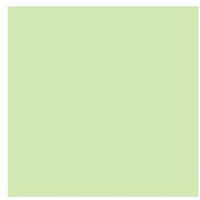 Derwent Pastel Potlood - Pale Olive P490