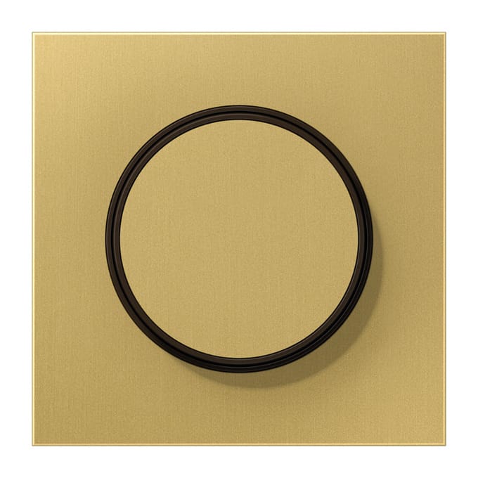 Jung LS Bereik Classic Messing Dimmer Afdekking Plaat - ME1740C