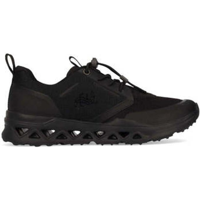 Lage Sneakers Salamander -