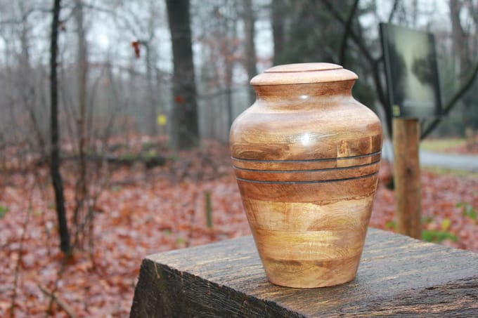 Mangohouten urn de Peel-4