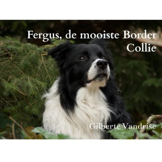 Fergus, De Mooiste Border Collie - Gilberte Vandrise