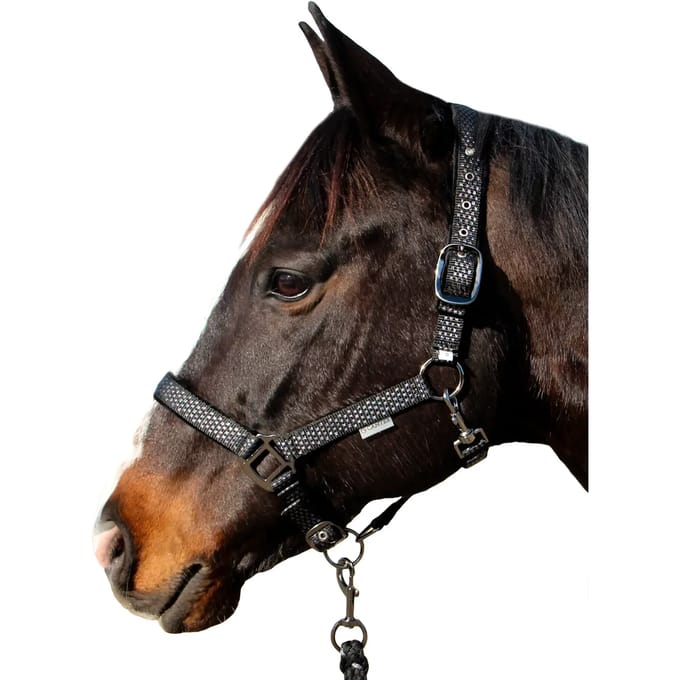 Halster en touwset voor paarden Canter Sonoma