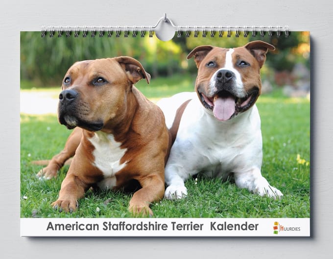 Huurdies - Verjaardagskalender - American Staffordshireterriër - A3