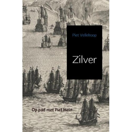 Zilver - Piet Vellekoop