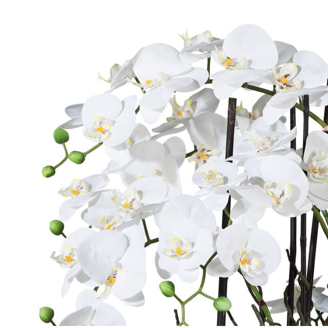 Kopu® Kunstbloem Volle Orchidee 68 cm Wit met Schaal - Phalenopsis