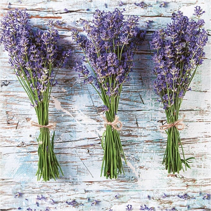 Daisy lunch/diner servetten - 40x st - 33 x 33 cm - lavendel - feestservetten