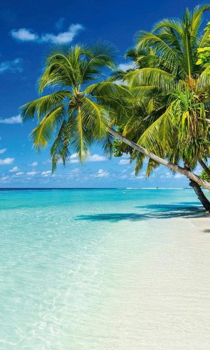 Fotobehang - Paradise Beach 150x250cm - Vliesbehang