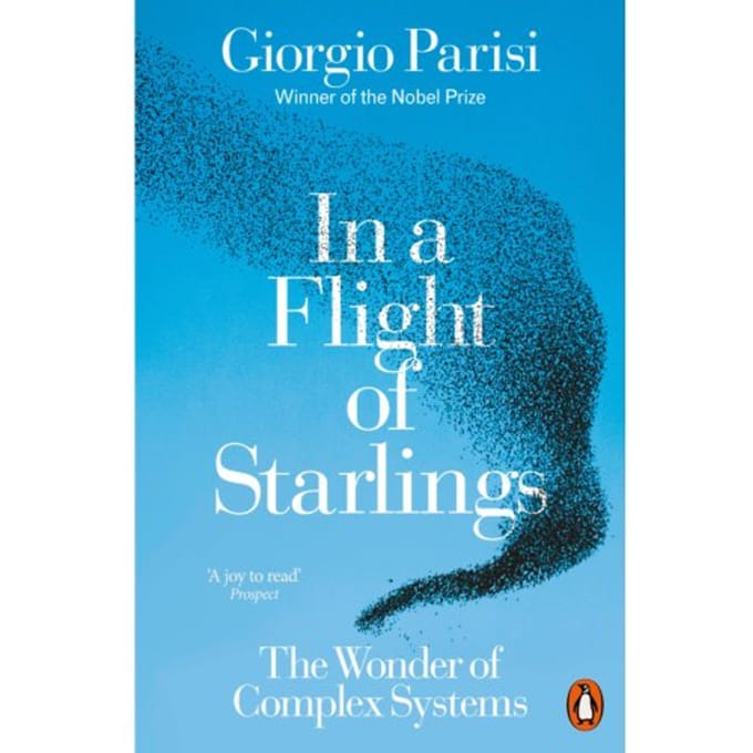 In A Flight Of Starlings - Giorgio Parisi