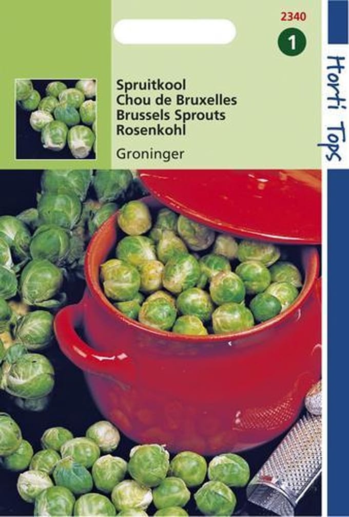 Hortitops Zaden - Spruitkool Groninger