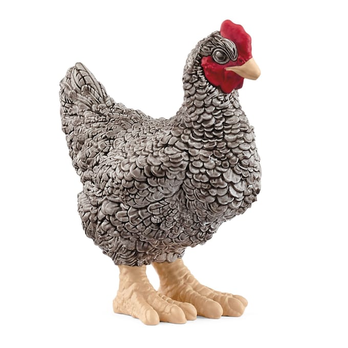 Schleich Plymouth Rock Kip Voertuigen Speelgoed voertuigen Diverse speelgoedvoertuigen