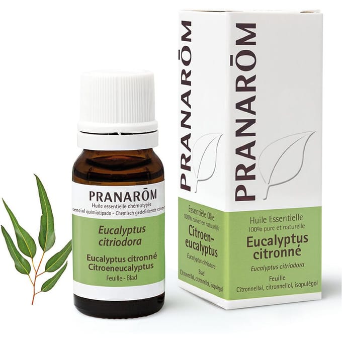 Pranarôm Etherische Olie Citroeneucalyptus | Spieren & Gewrichten 10 olie