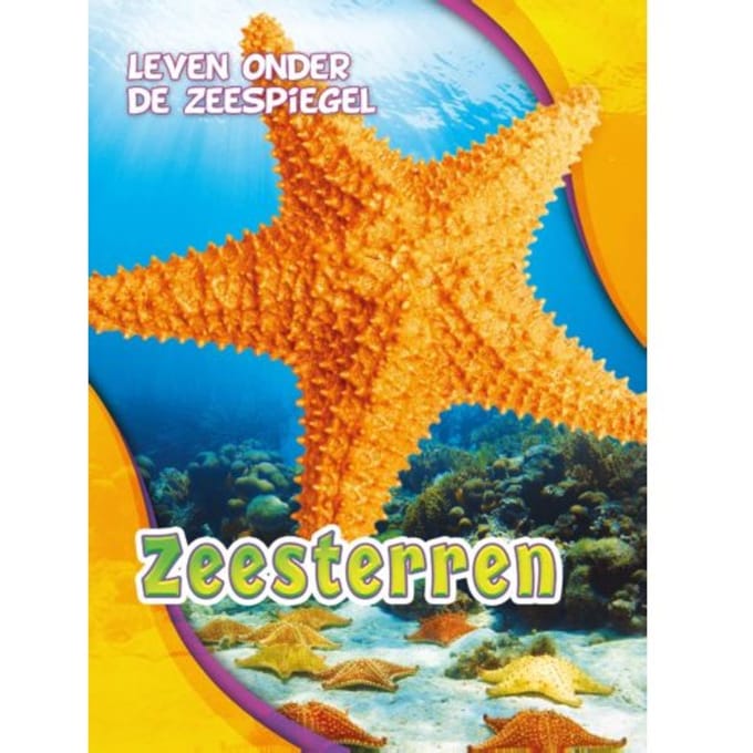 Zeesterren - Leven Onder De Zeespiegel - Rebecca Pettiford