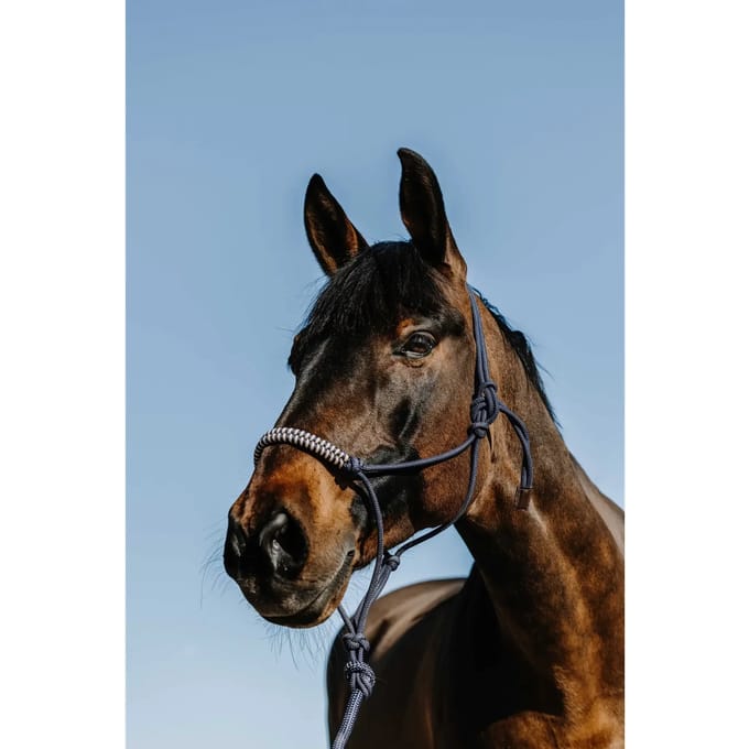 Norton Equestrian Deco Ethological Halster En Halstertouw Blauw Full