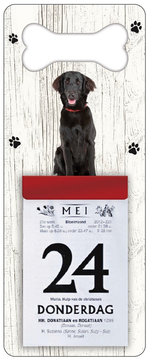 Scheurkalender 2027 Hond: Flatceuted Retriever