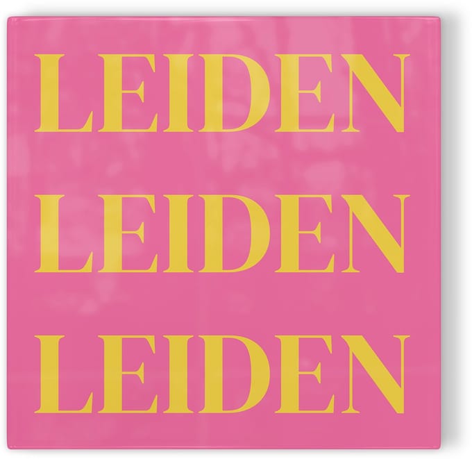 Tegeltje Leiden - roze geel - tegeltje stad - tegeltje met tekst
